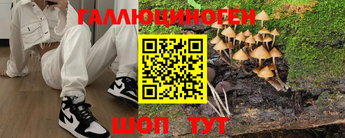 Псилоцибиновые грибы мухоморы Советск