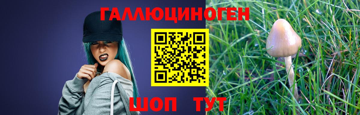 Галлюциногенные грибы Magic Shrooms  Псилоцибиновые грибы GOLDEN TEACHER  Вход с VPN  Советск 